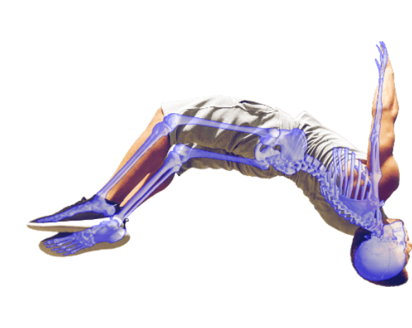 image.png