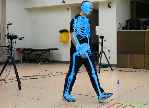 运动与康复训练